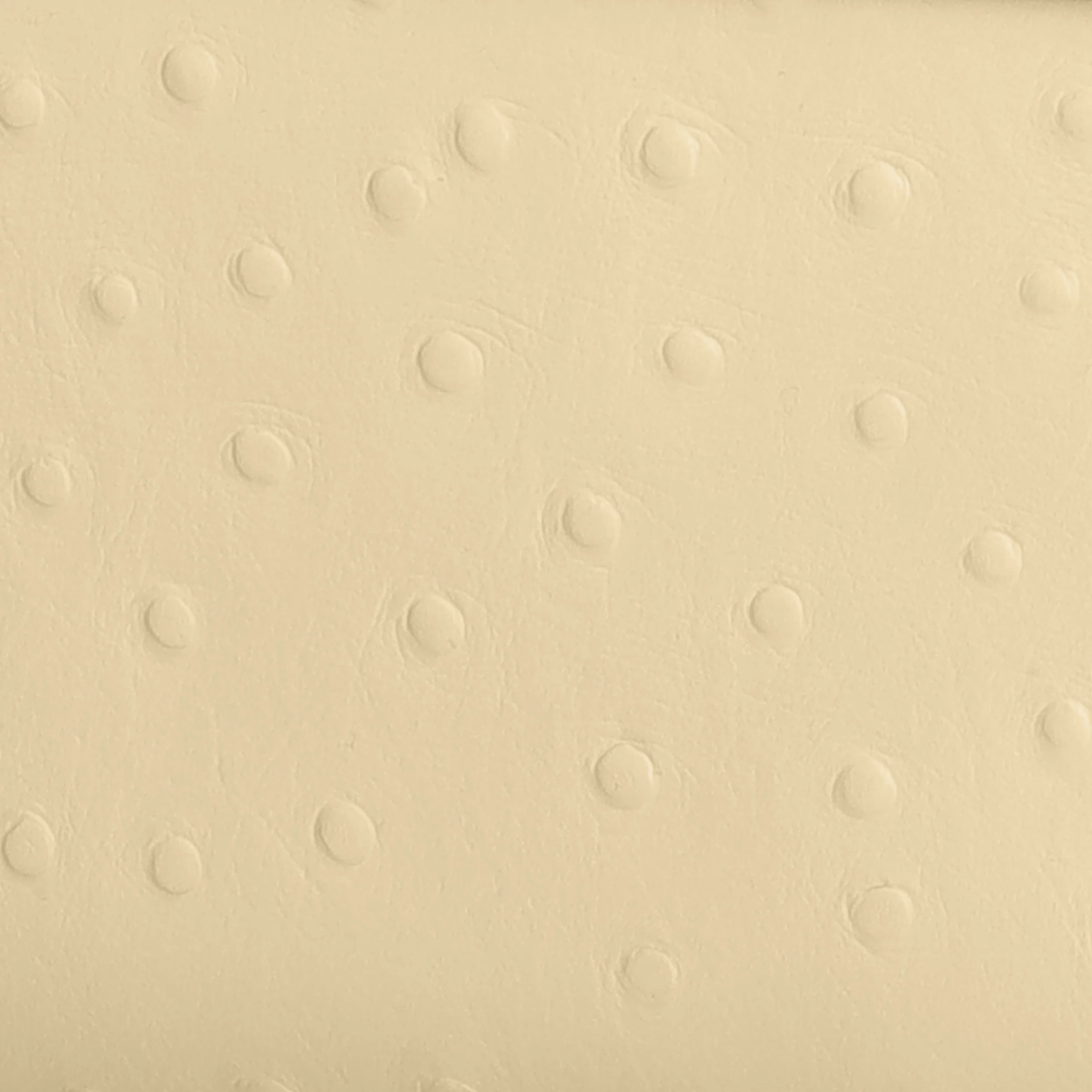 Ikon Clutch - ostrich butter yellow - Image 4